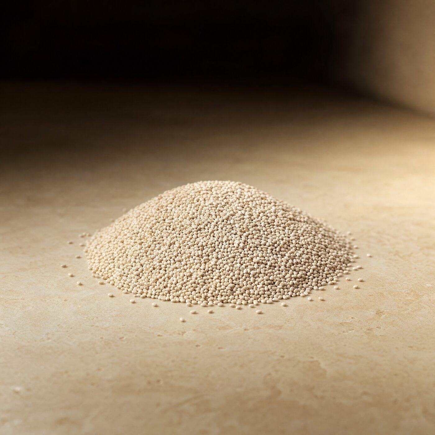 White Chia Seed